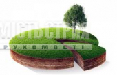 земельна ділянка