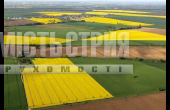земельна ділянка