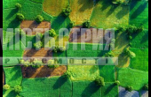 земельна ділянка
