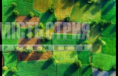 ПРОДАЖ/земельна ділянка
