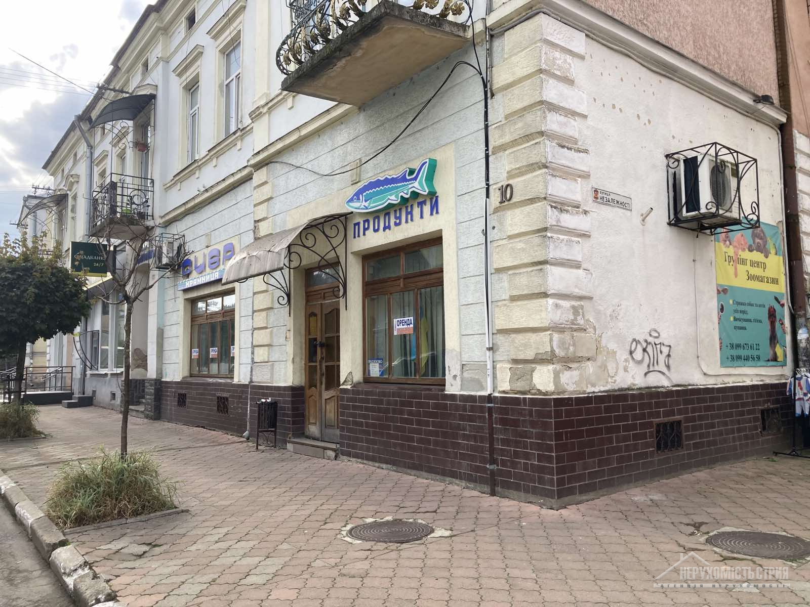 загальний вигляд будівлі